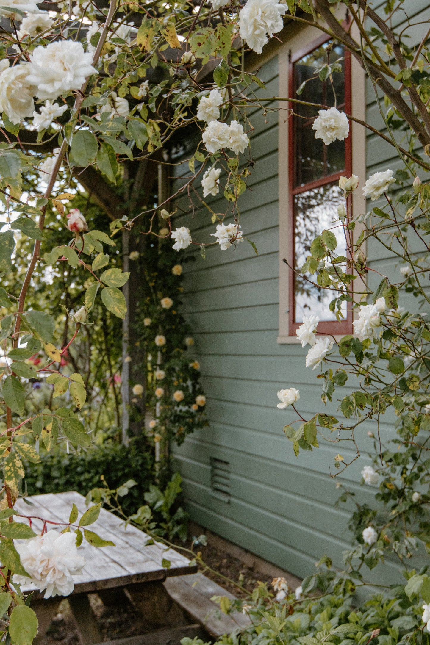 Blooms and Brunch: A Creative Design Class