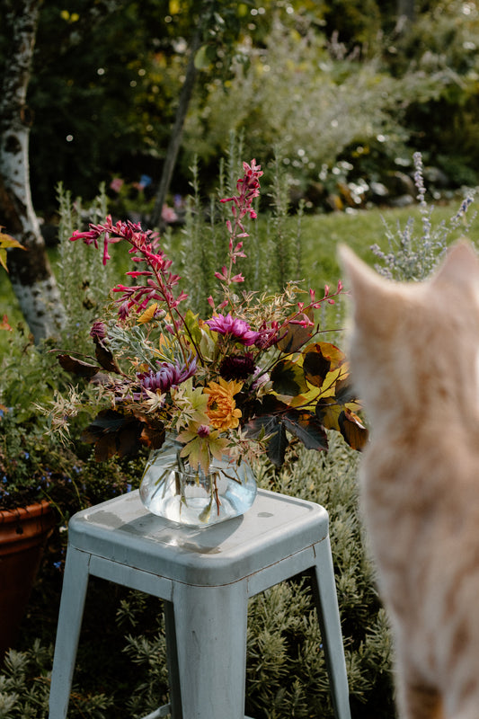 Blooms and Brunch: A Fall Creative Design Class