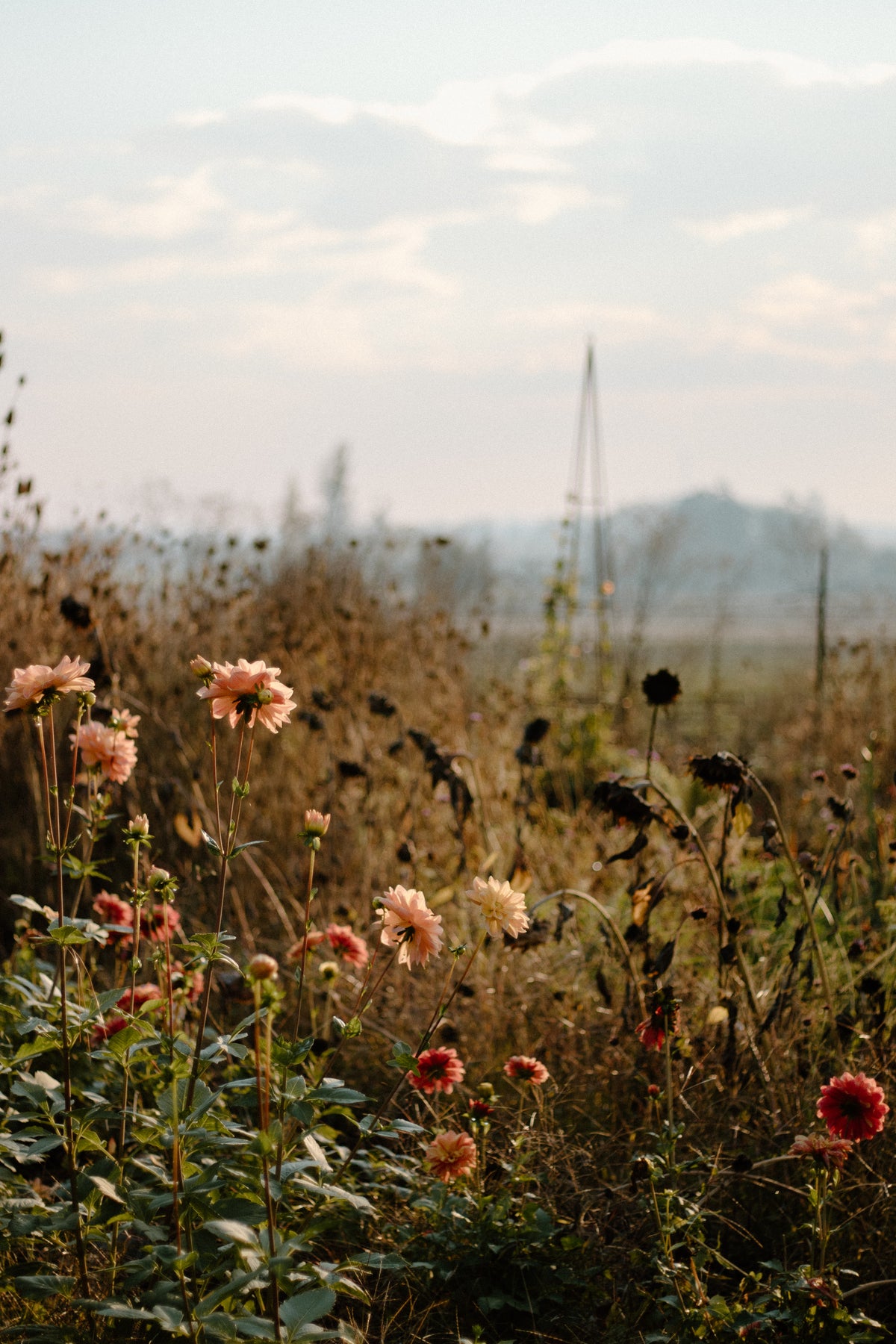 Blooms and Brunch: A Fall Creative Design Class