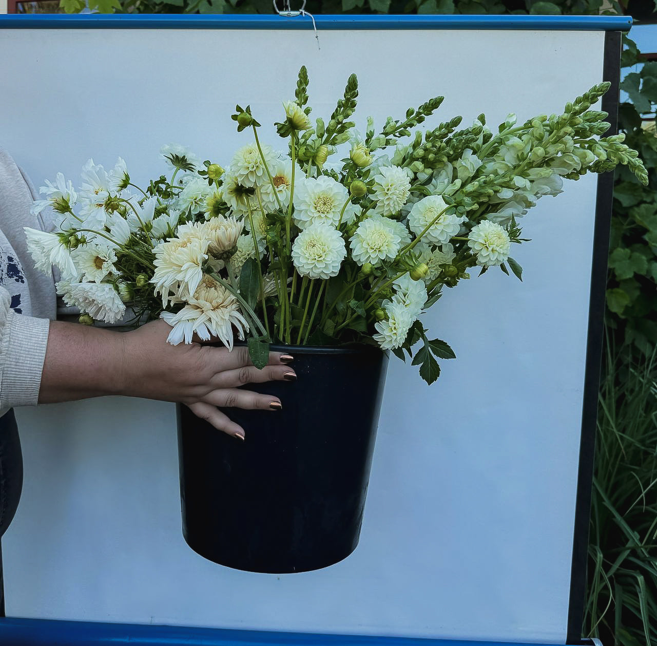 White Flowers by the Bucket