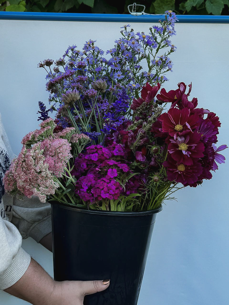 Cool Toned Flowers by the Bucket