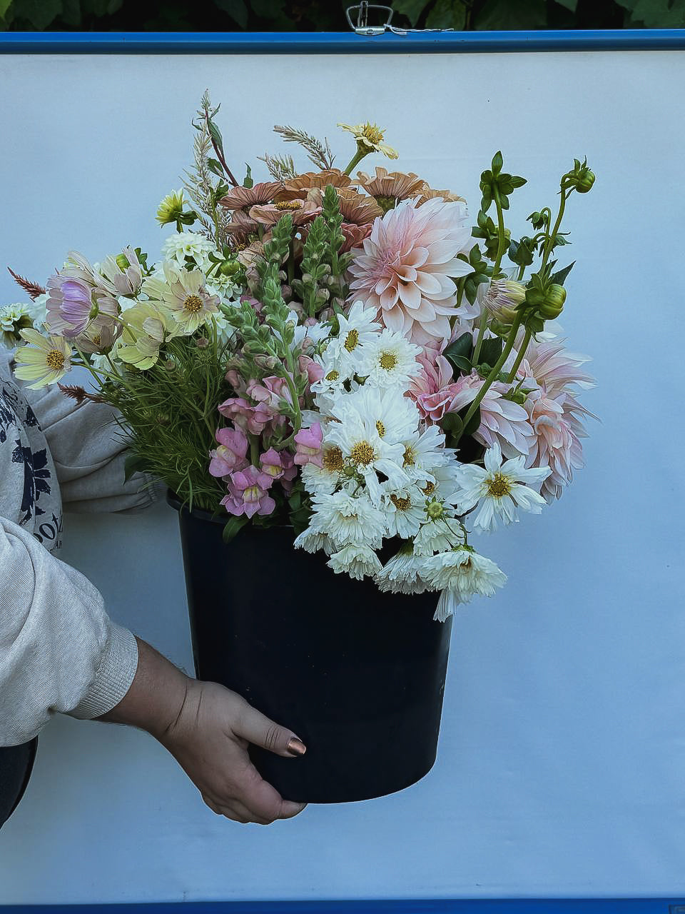 Blush Toned Flowers by the Bucket