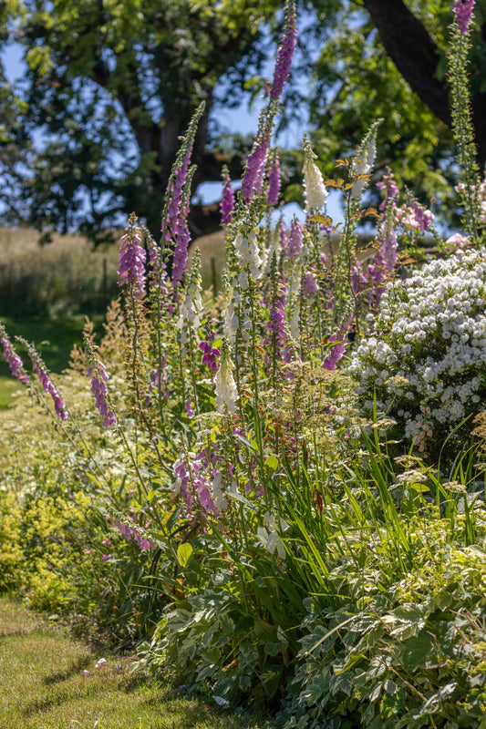 Design a Cutting Garden Workshop